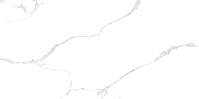 Плитка Elemento Bianco Carrara 25x50