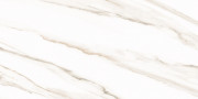 Плитка Esprit Calacatta 25x50