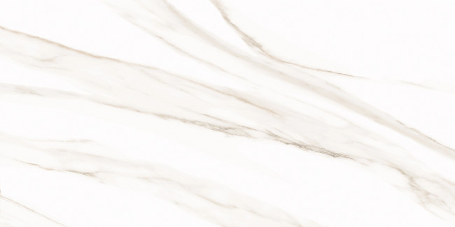 Плитка Esprit Calacatta 25x50