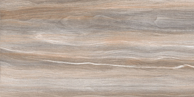 Плитка Esprit Wood 25x50