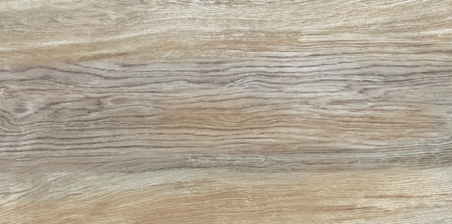 Плитка Detroit Wood 24,9x50