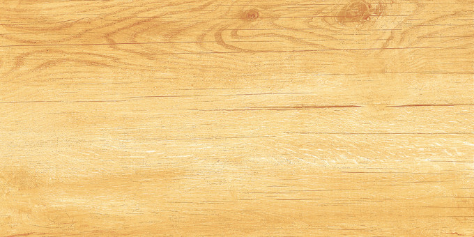 Плитка Paradise Wood 25x50