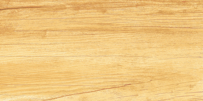 Плитка Paradise Wood 25x50