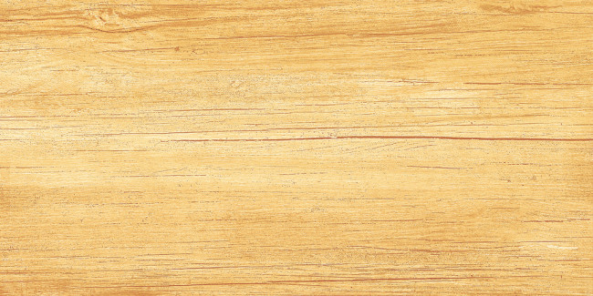 Плитка Paradise Wood 25x50