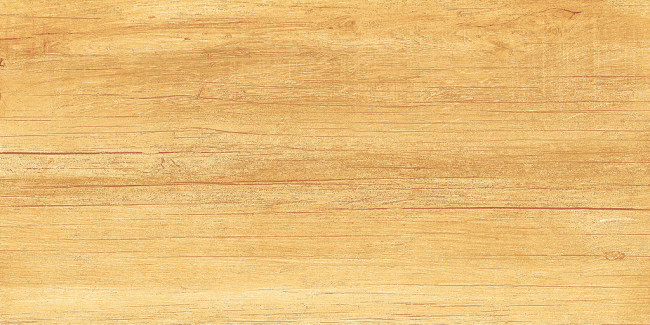 Плитка Paradise Wood 25x50