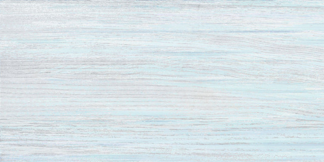 Плитка North 24,9x50 TWU09NRT606