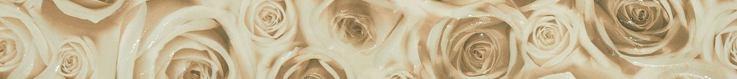 Бордюр Bliss beige border 01 6,5x60