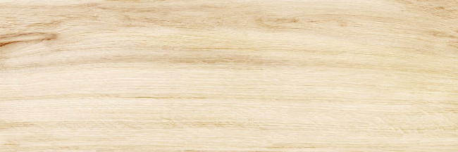 Плитка Canyon Wood 24,6x74