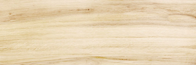 Плитка Canyon Wood 24,6x74