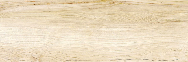 Плитка Canyon Wood 24,6x74