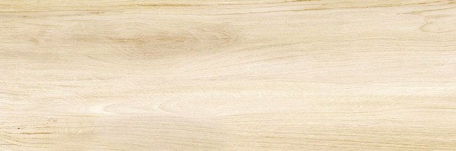 Плитка Canyon Wood 24,6x74