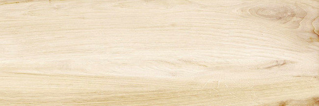 Плитка Canyon Wood 24,6x74