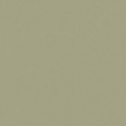 Керамогранит RW061 неполированный 60x60