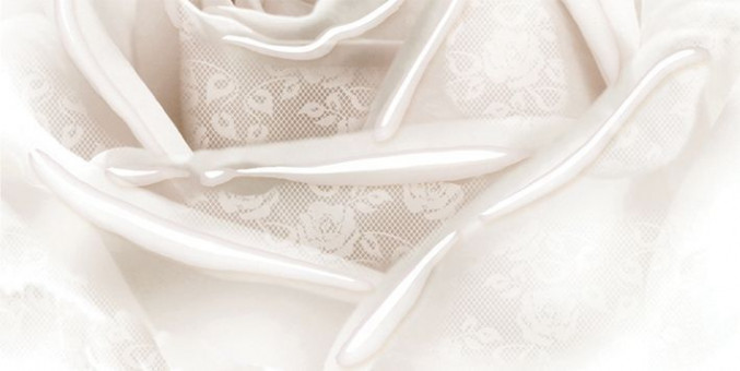 Декор Нежность бежевый B 25x50 Декор Нежность бежевый B 25x50