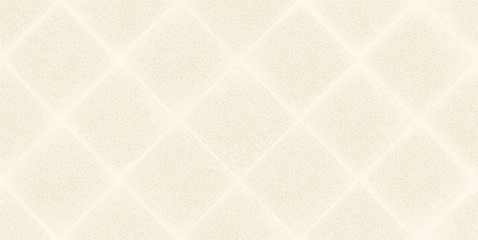 Плитка Adele Latte 24,9x50