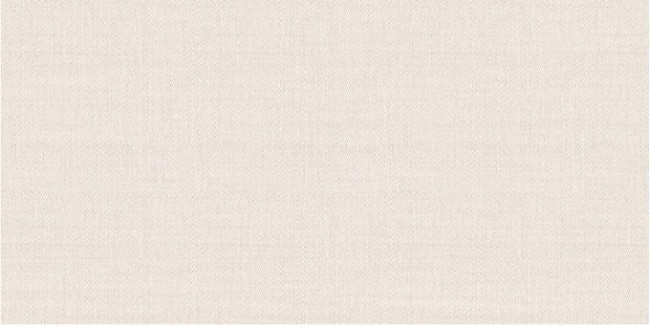 Плитка Asteria 24,9x50 TWU09ATR024