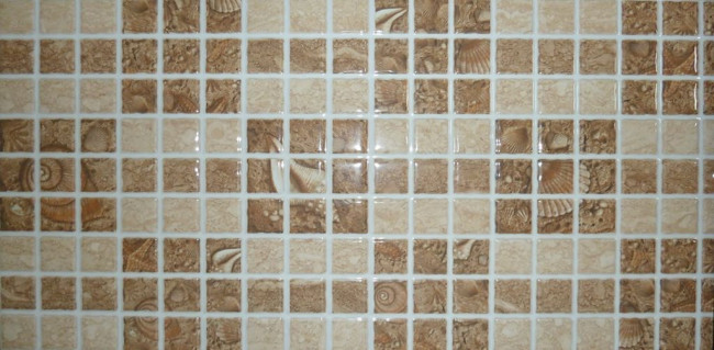 Декор Аликанте мозаика Ракушки 25x50