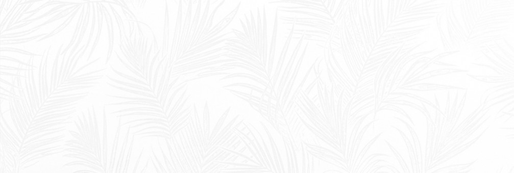 Плитка Exotic White 25,3x75