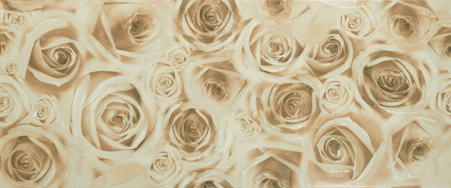 Декор Bliss beige decor 01 25x60