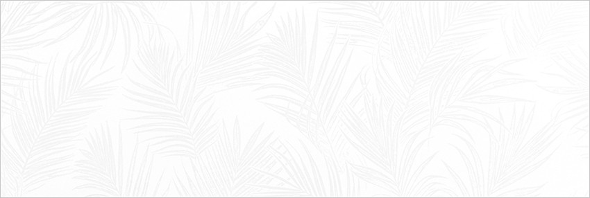 Плитка Exotic White 24,6x74